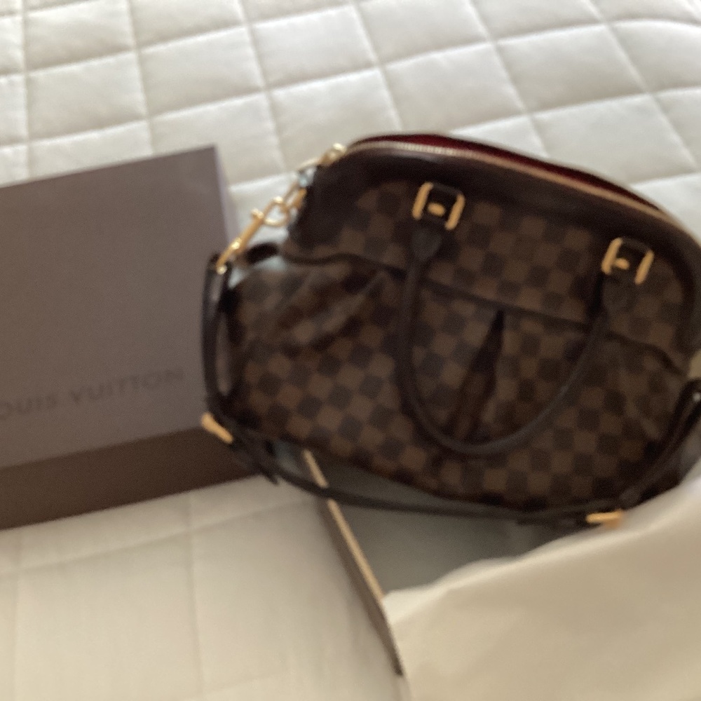 Louis Vuitton TREVI GM Damien Ebene